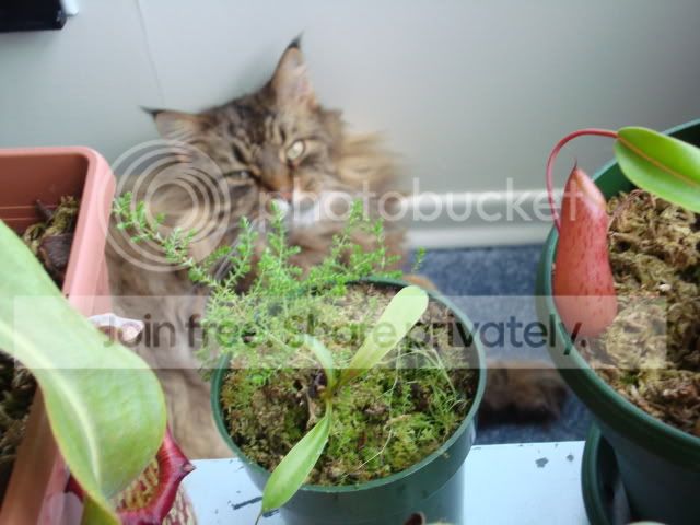 DSC02757.jpg