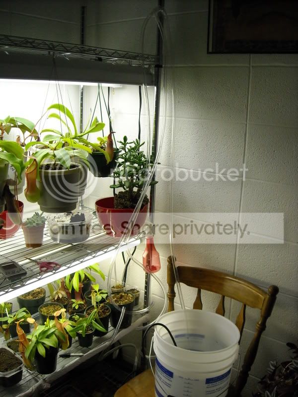 AutoWatering012.jpg