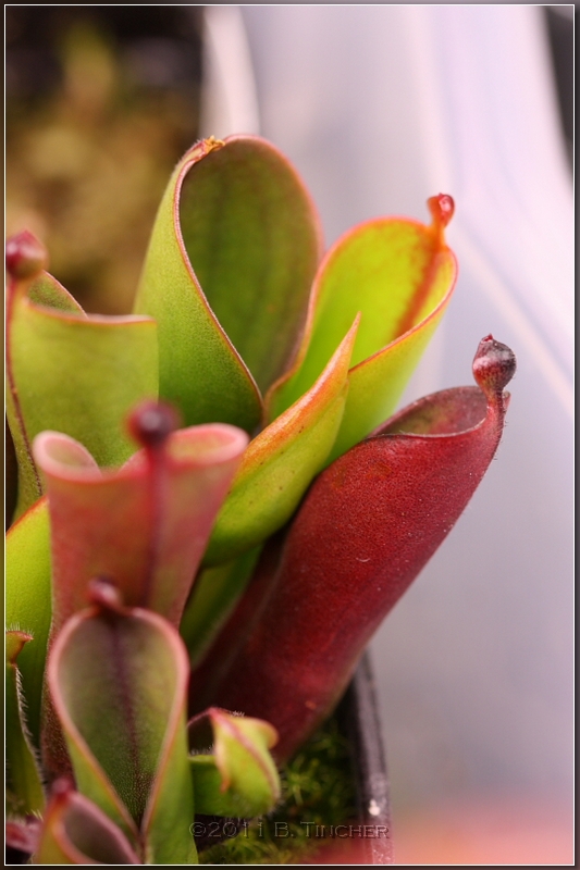 DPP_0142_hf.jpg