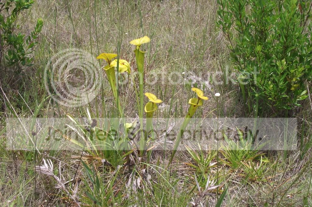 DSCF8281.jpg