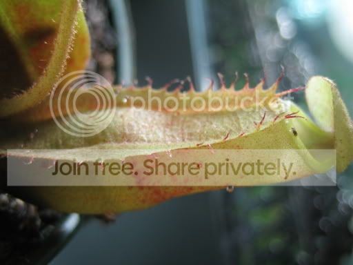 IMG_1569.jpg