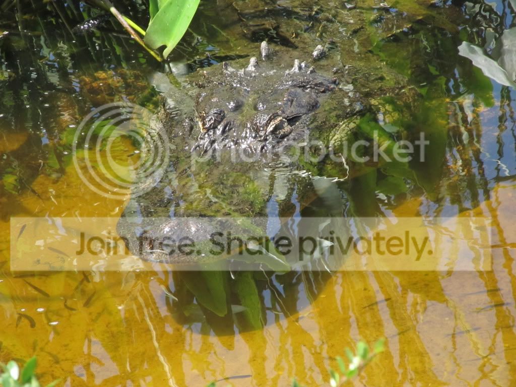 IMG_6390.jpg