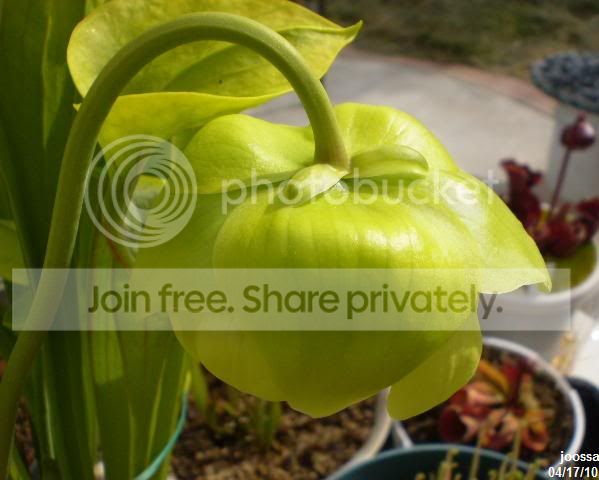 P4170022.jpg