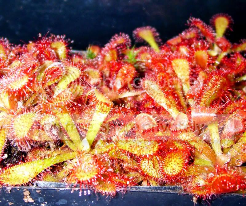 100_3113.jpg