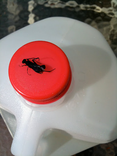 IMG_0324.jpg