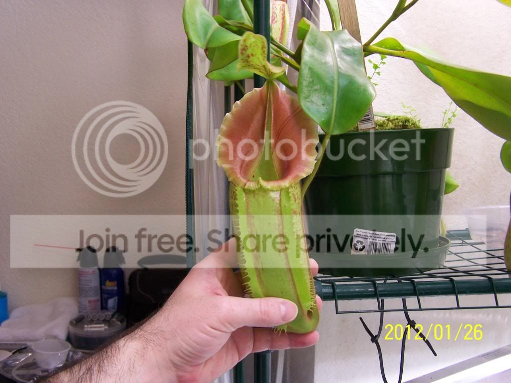 100_5792.jpg