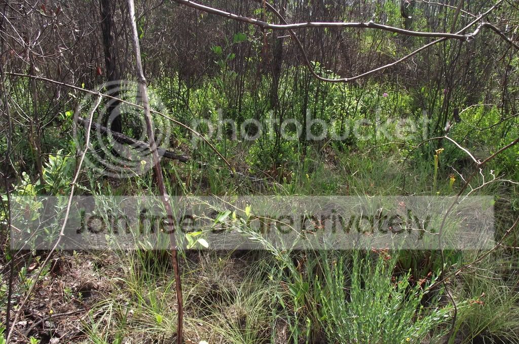 DSCF8520.jpg