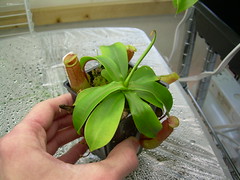 2385814913_bee551a769_m.jpg