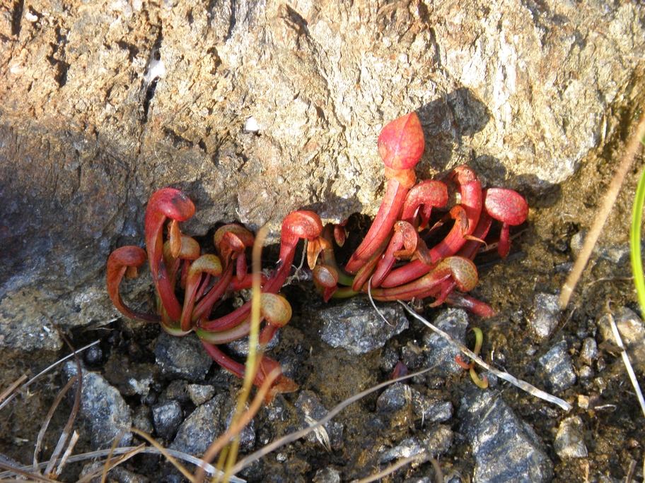 PA190810.jpg