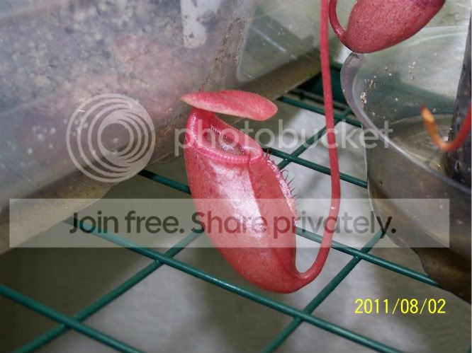 100_4967.jpg