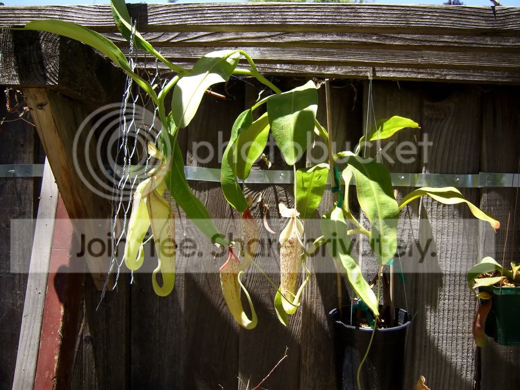 Picture004.jpg