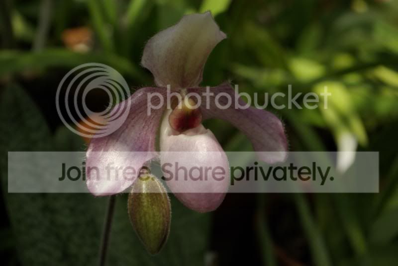 _IGP0233.jpg