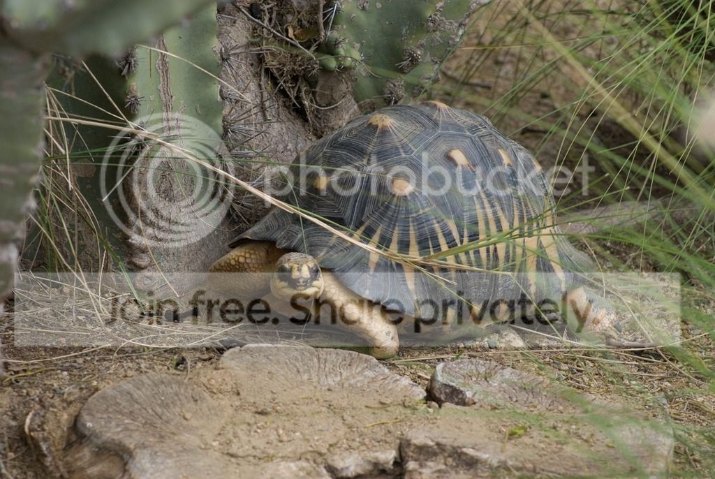 IMGP3317_zpsaudchptj.jpg