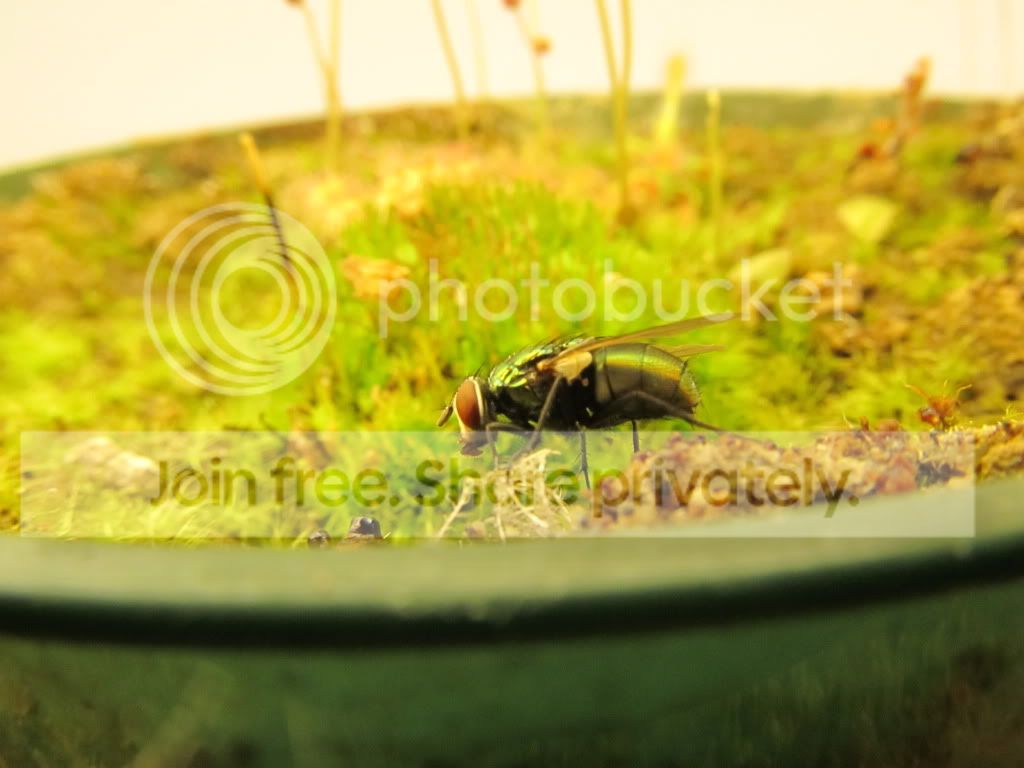 IMG_4440.jpg