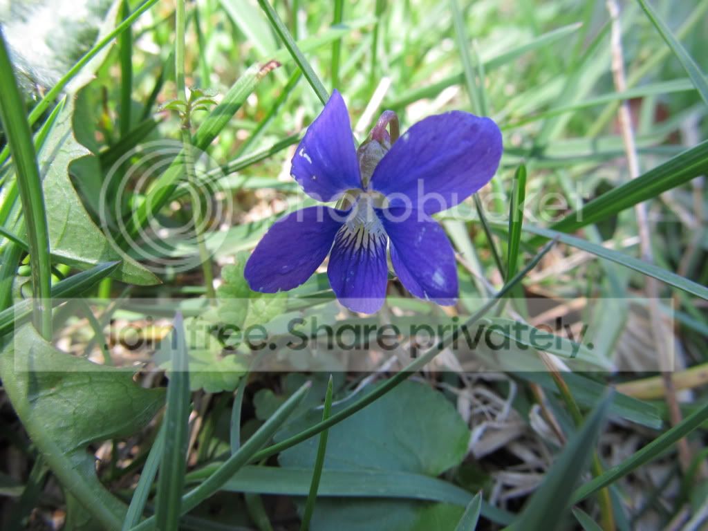 IMG_2586.jpg