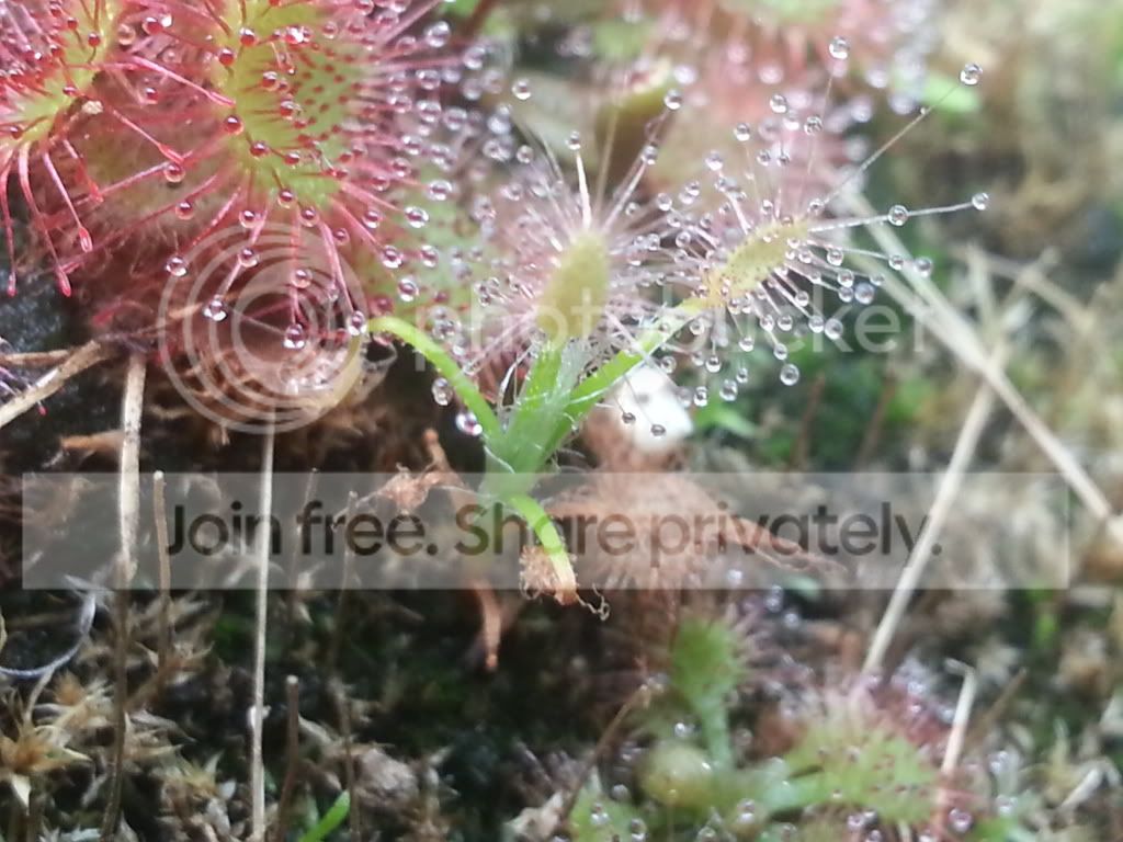 20121215_115306.jpg