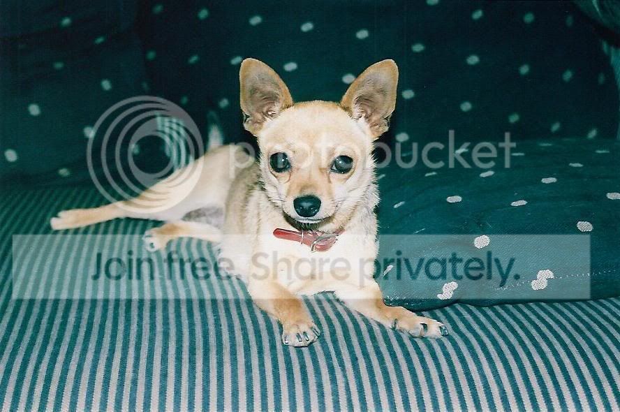 Lucy01.jpg