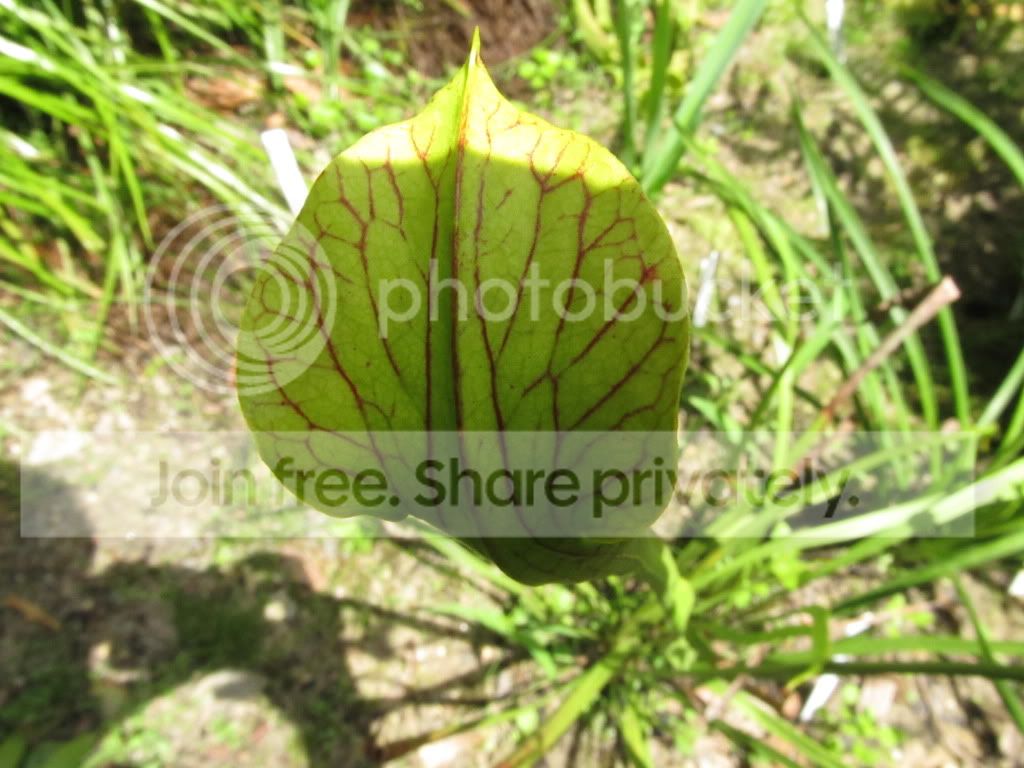 IMG_7064.jpg