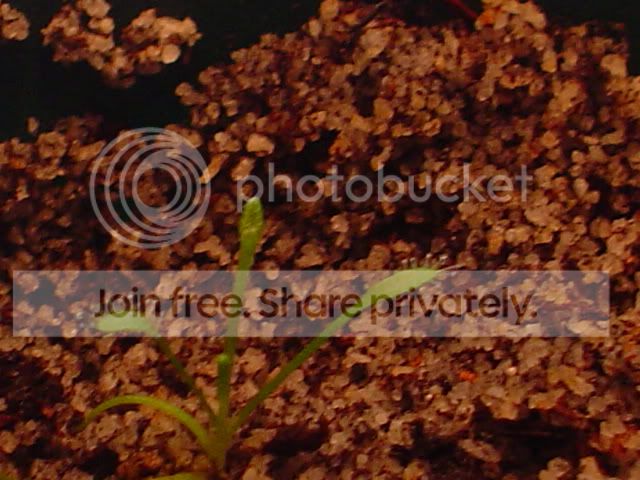 DSC01039.jpg