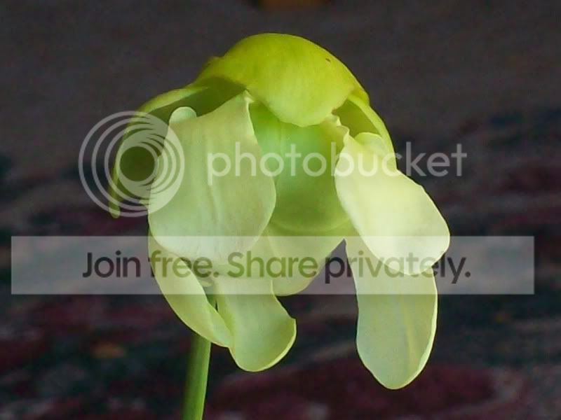 100_9969.jpg