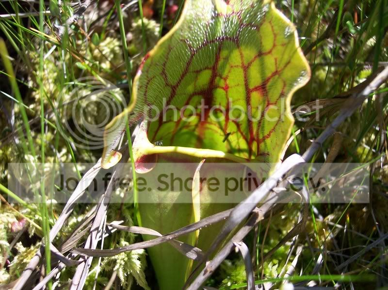 MossLake042.jpg