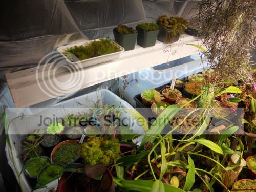 nsidechamber03_3-8-12.jpg