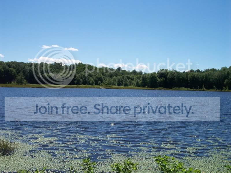 MossLake004.jpg