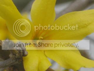 Spring2009026.jpg
