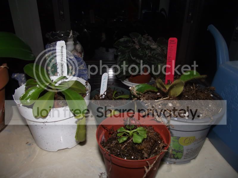 DSCF5472.jpg