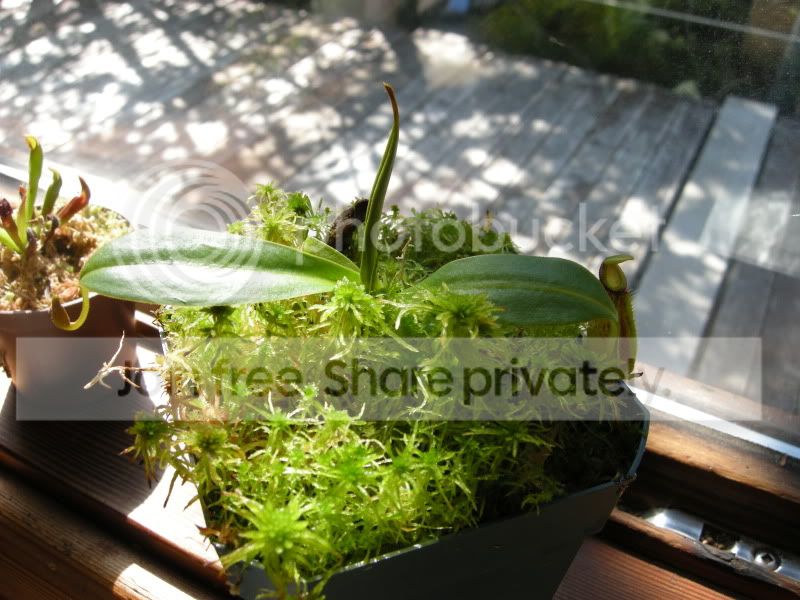 DSCN6012.jpg