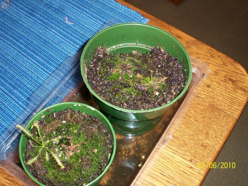 100_0517.jpg