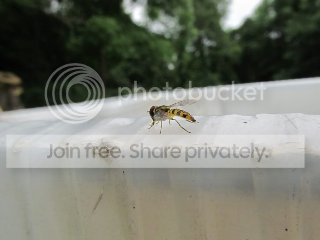 IMG_4590.jpg