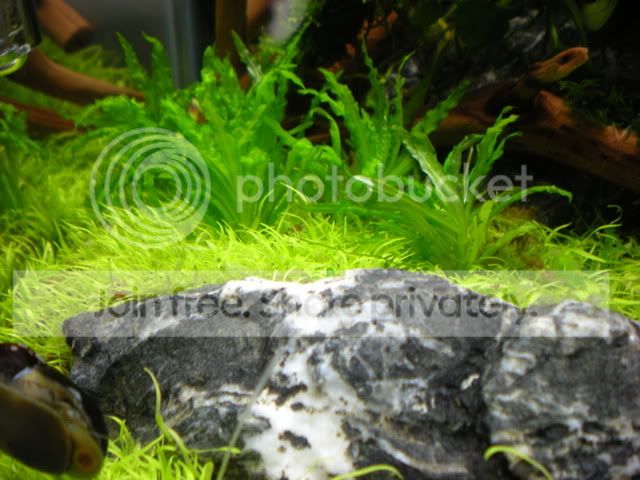DSCN3691.jpg