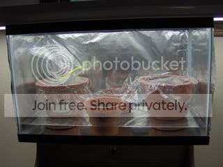 100_0170.jpg