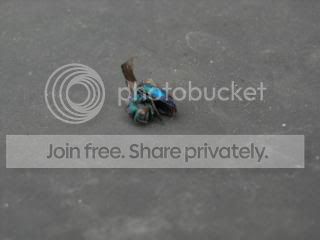 DSCN0330-1.jpg