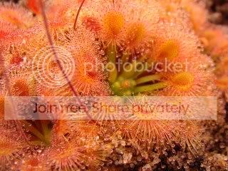 f9920a2f.jpg