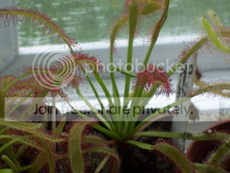100_8217.jpg