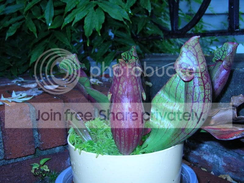 DSCN2358.jpg
