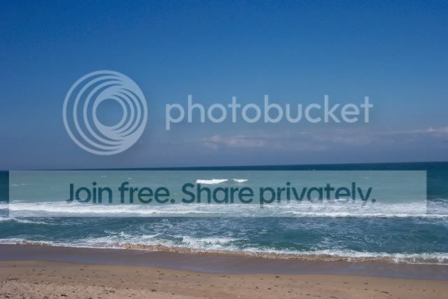 Beachday2030.jpg