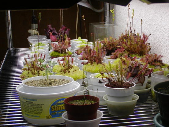 P3050027-750x414.jpg