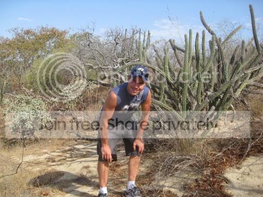 CABOCactus044.jpg