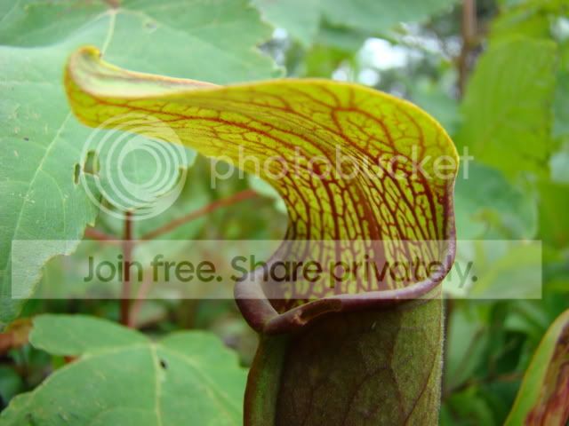 ReferenceandCPsII018.jpg