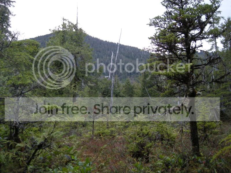 DSCN5522.jpg