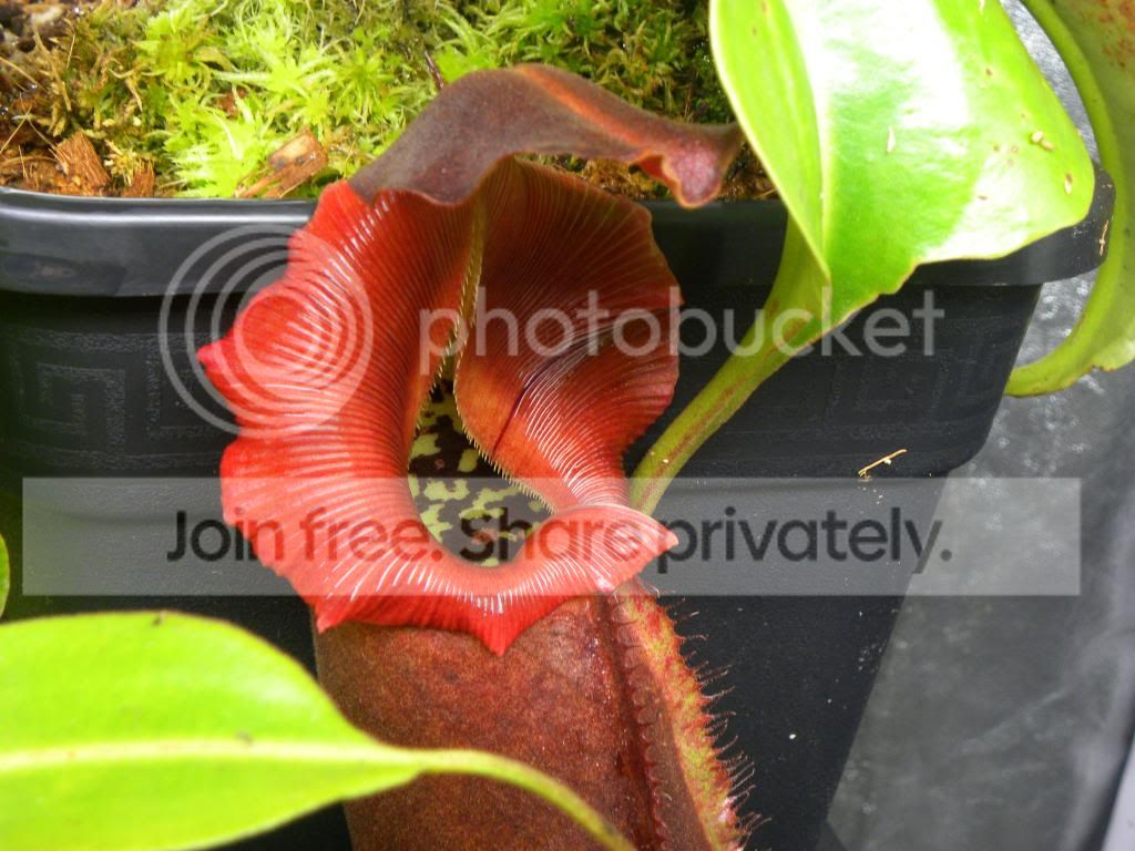 008_zpsec33cf57.jpg