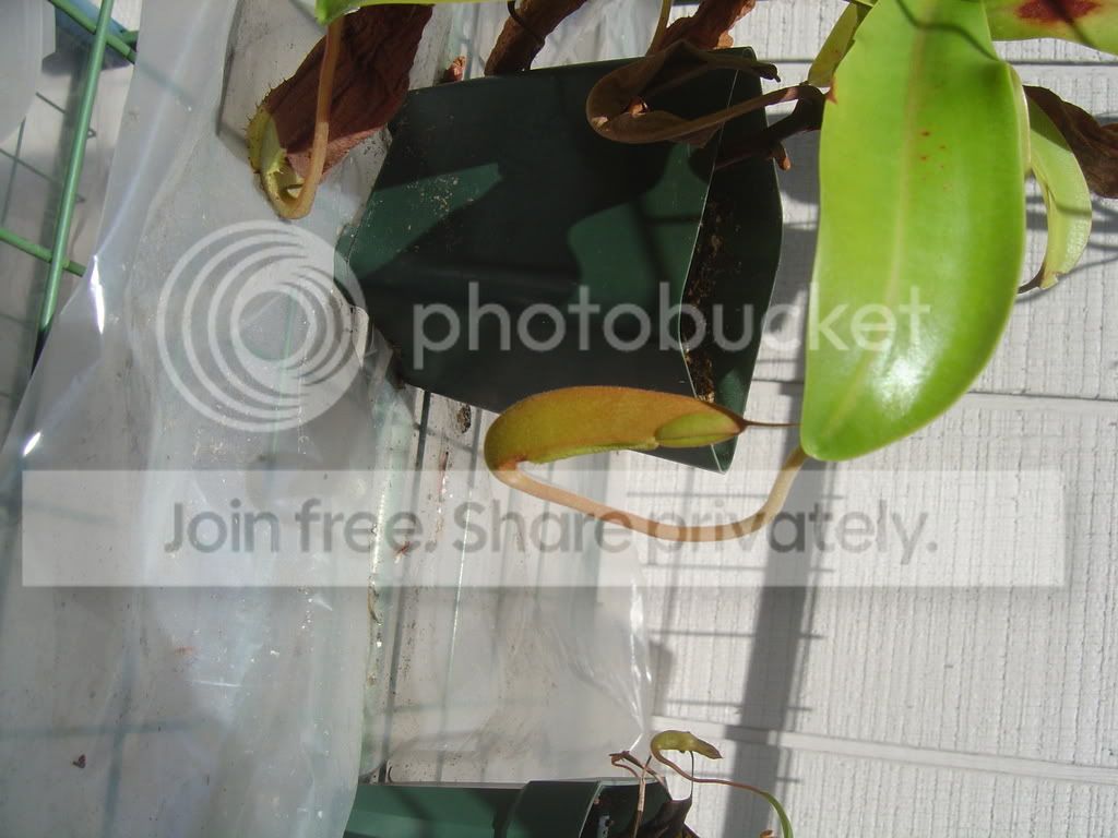 CPsOutside8-15-08012.jpg