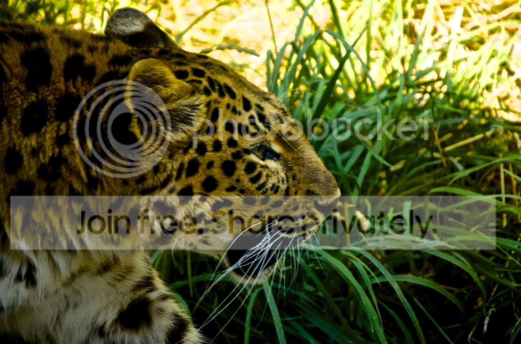 DSC_0470.jpg