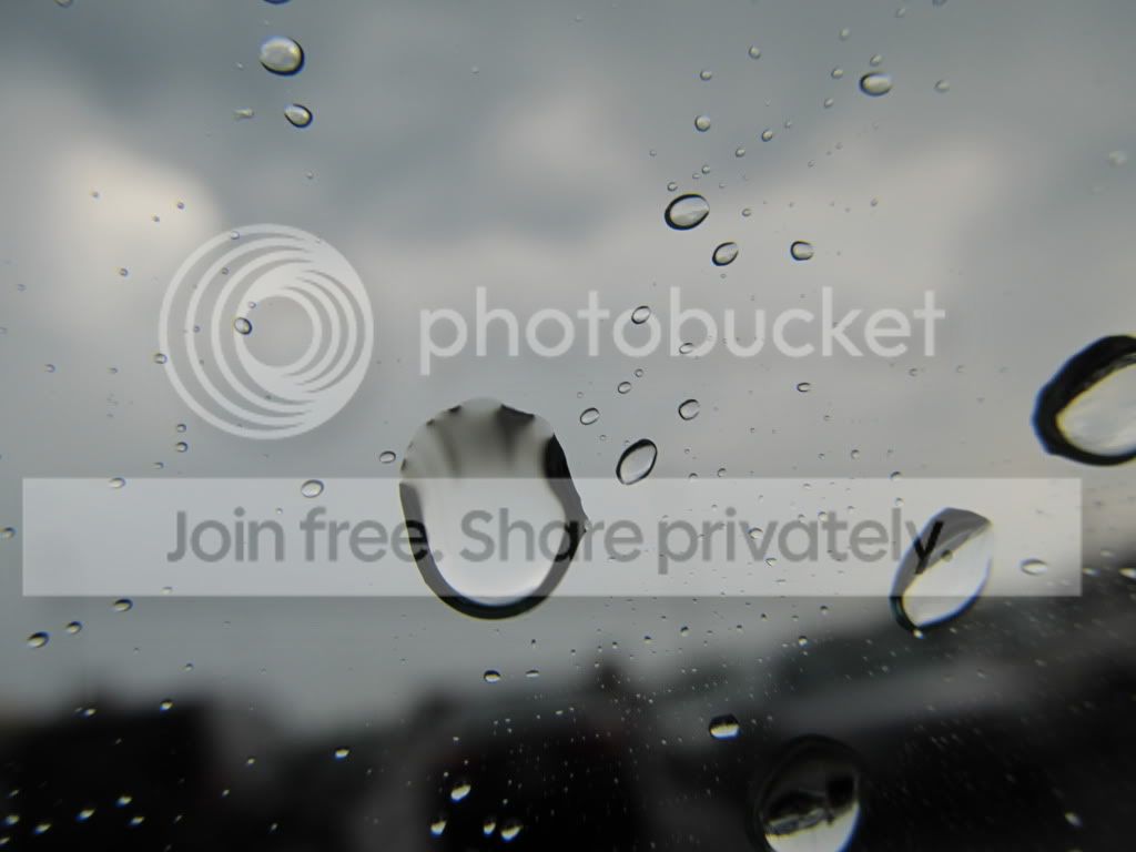 PJAS2011065-1.jpg