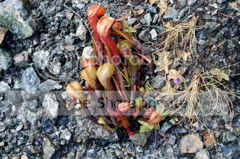 darDSC_02870001.jpg