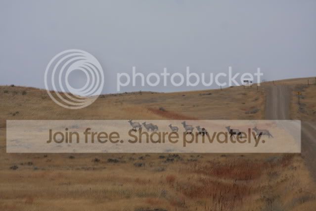 IMG_8035.jpg