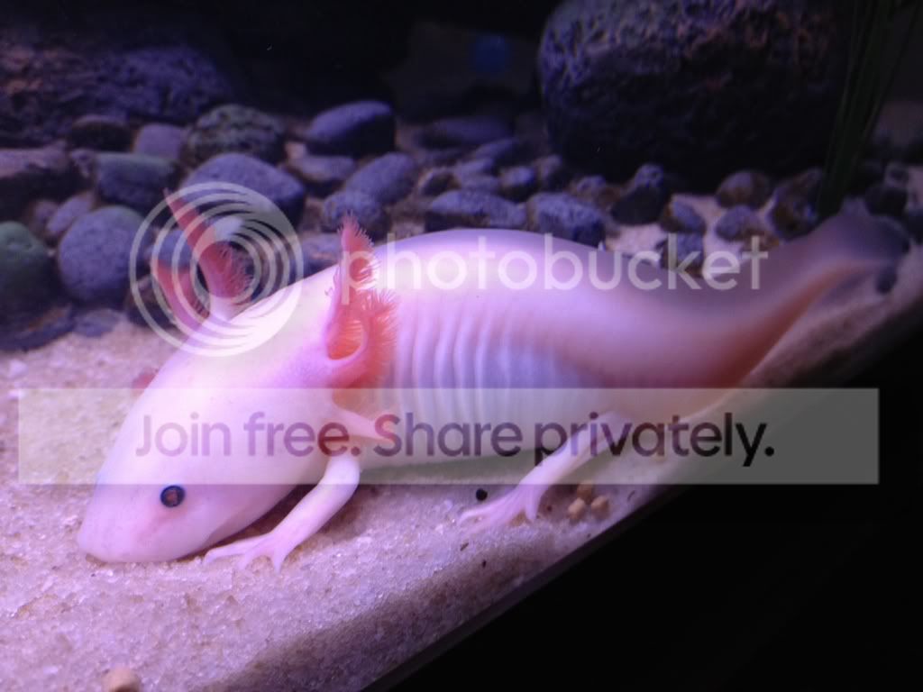 60299691.jpg